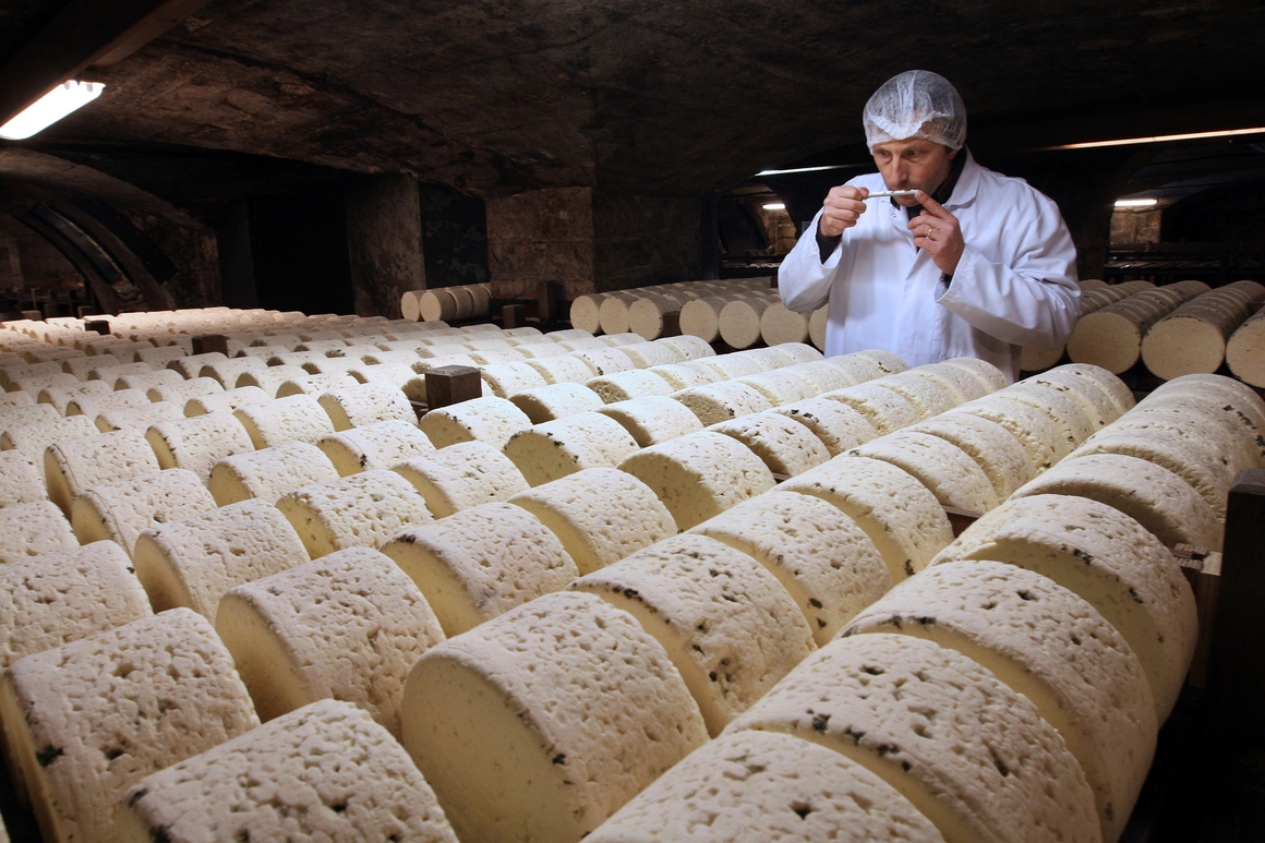 Cheese Production