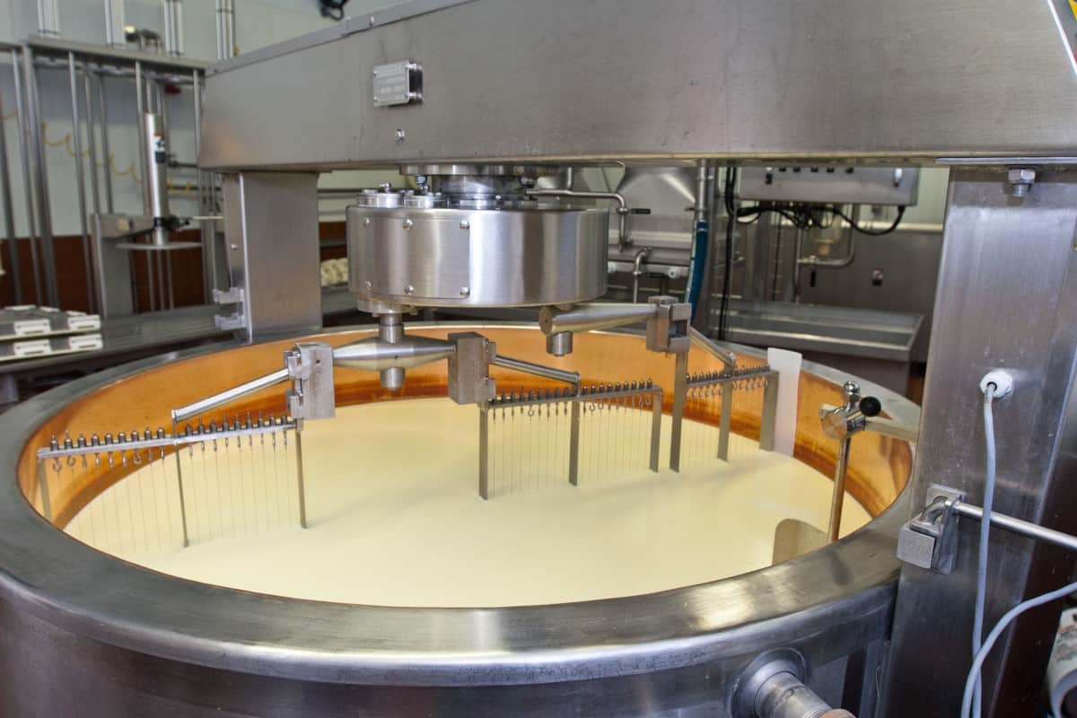 Cheese Production